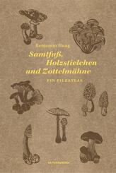 Samtfu&szlig;, Holzstielchen und Zottelm&auml;hne