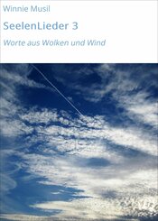SeelenLieder 3 (eBook, ePUB)