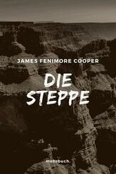 Die Steppe (eBook, ePUB)