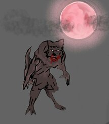 Der Werwolf von Noer (eBook, ePUB)