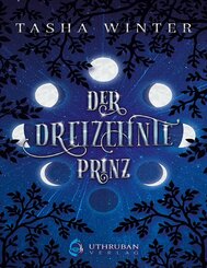 Der Dreizehnte Prinz (eBook, ePUB)
