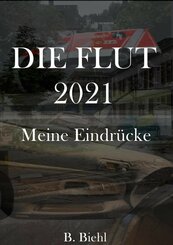 Die Flut 2021 - Meine Eindrücke (eBook, ePUB)