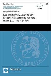 Der effiziente Zugang zum Elektrizit&auml;tsversorgungsnetz nach &sect; 20 Abs. 1 EnWG