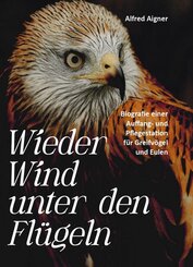 Wieder Wind unter den Fl&uuml;geln