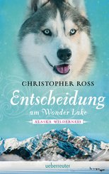 Alaska Wilderness - Entscheidung am Wonder Lake (Bd. 6) (eBook, ePUB)