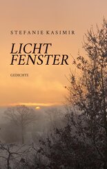 Lichtfenster