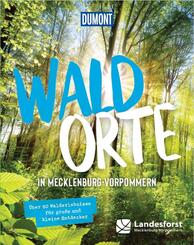 DUMONT Bildband Waldorte in Mecklenburg Vorpommern