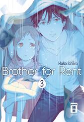 Brother for Rent.Bd.3
