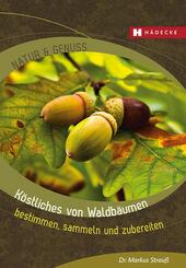 K&ouml;stliches von Waldb&auml;umen