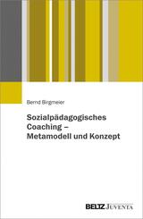 Sozialp&auml;dagogisches Coaching - Metamodell und Konzept