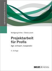 Projektarbeit f&uuml;r Profis
