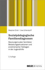 Sozialp&auml;dagogische Familiendiagnosen