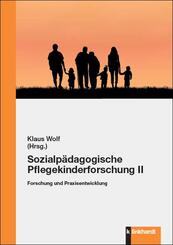 Sozialp&auml;dagogische Pflegekinderforschung II