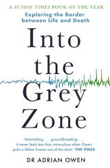 Into the Gray Zone