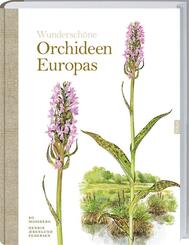 Wundersch&ouml;ne Orchideen Europas