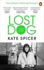 Lost Dog; .