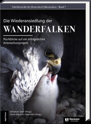 Die Wiederansiedlung der Wanderfalken