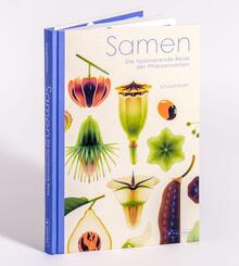 Samen