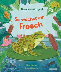 Aus klein wird gro&szlig;. So w&auml;chst ein Frosch