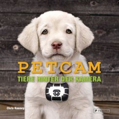 Petcam - Tiere hinter der Kamera