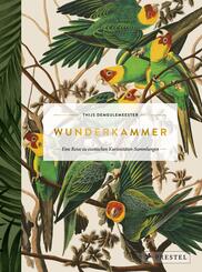 Wunderkammer