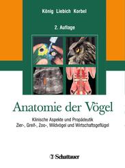 Anatomie der V&ouml;gel