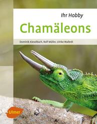 Cham&auml;leons