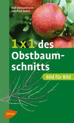 1 x 1 des Obstbaumschnitts (eBook, PDF)