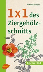 1 x 1 des Ziergehölzschnitts (eBook, PDF)