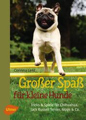 Gro&szlig;er Spa&szlig; f&uuml;r kleine Hunde