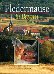 Flederm&auml;use in Bayern