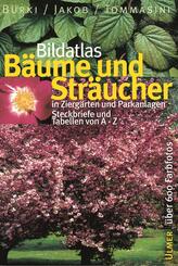 Bildatlas B&auml;ume und Str&auml;ucher