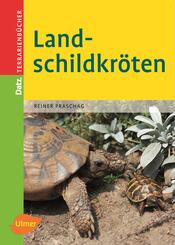Landschildkr&ouml;ten