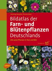 Bildatlas der Farn- und Bl&uuml;tenpflanzen Deutschlands