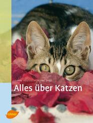 Alles &uuml;ber Katzen