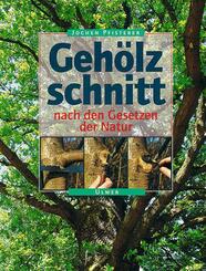 Geh&ouml;lzschnitt nach den Gesetzen der Natur