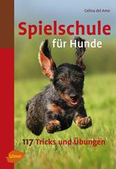 Spielschule f&uuml;r Hunde