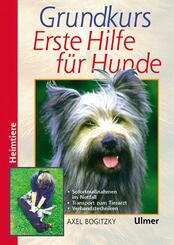 Grundkurs Erste Hilfe f&uuml;r den Hund
