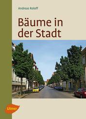 B&auml;ume in der Stadt