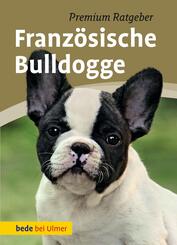 Franz&ouml;sische Bulldogge