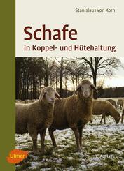 Schafe in Koppel- und H&uuml;tehaltung