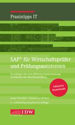 SAP f&uuml;r Wirtschaftspr&uuml;fer und Pr&uuml;fungsassistenten