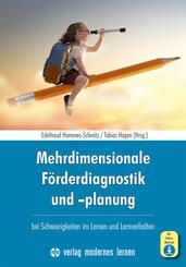 Mehrdimensionale F&ouml;rderdiagnostik und -planung bei Schwierigkeiten im Lernen und Lernverhalten, m. 1 Beilage