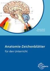 Anatomie Zeichenbl&auml;tter Arbeitsheft
