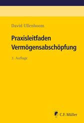 Praxisleitfaden Verm&ouml;gensabsch&ouml;pfung