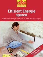 Effizient Energie sparen - Profiwissen für Heimwerker (eBook, ePUB)