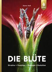 Die Bl&uuml;te
