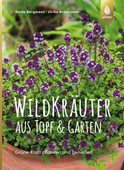 Wildkr&auml;uter aus Topf und Garten