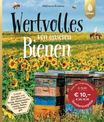Wertvolles von unseren Bienen