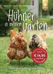 H&uuml;hner in meinem Garten